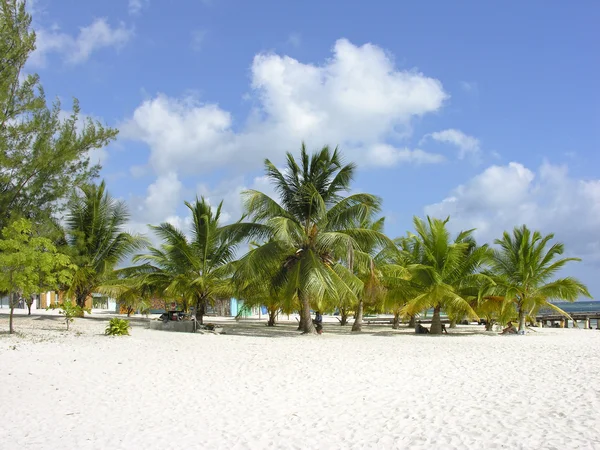 Karibiska stranden i santo domingo — Stockfoto