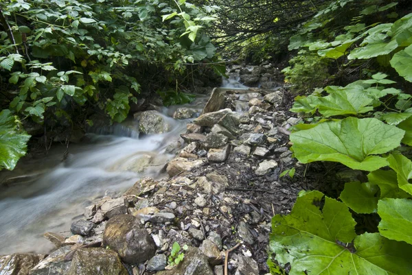 Flowing Water, Dolomites — Stock Photo, Image