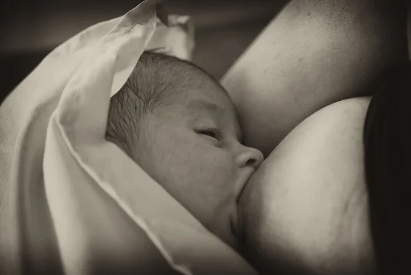 Новорожденная девочка всасывает молоко — стоковое фото