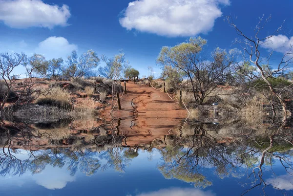 L'eau dans la campagne australienne — Photo