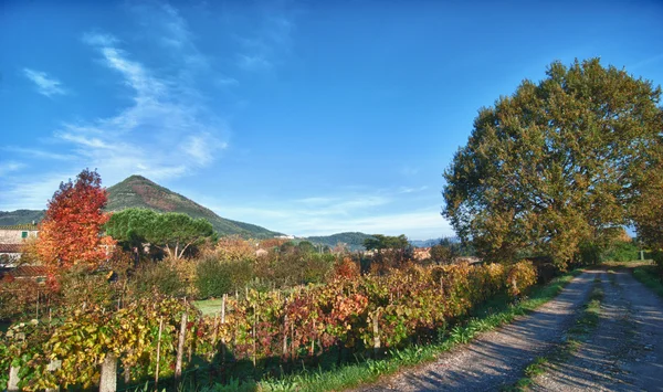 Kleuren van de herfst in lucca, Toscane — Stockfoto