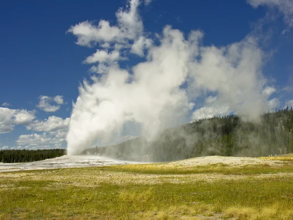 Régi hűséges, Yellowstone Nemzeti Park — Stock Fotó