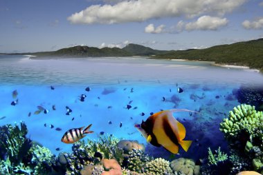 renkler whitehaven Beach, Avustralya