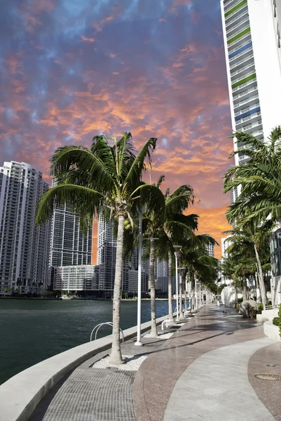 Miami beach i solnedgången, florida — Stockfoto