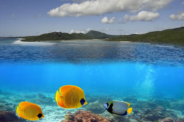 stock image Whitehaven Beach Underwater in the Whitsundays Archipelago, Aust