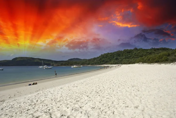 Kolory whitehaven Beach, Stany Zjednoczone Ameryki — Zdjęcie stockowe