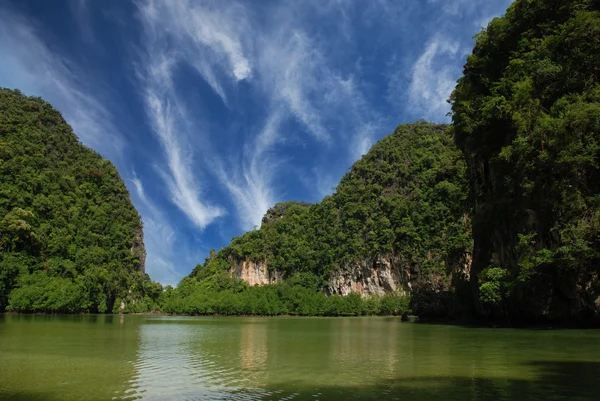 Vegetace thajských ostrovů — Stock fotografie