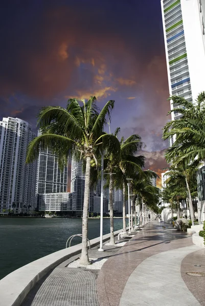 Miami Beach Buildings and Colors, EUA . — Fotografia de Stock
