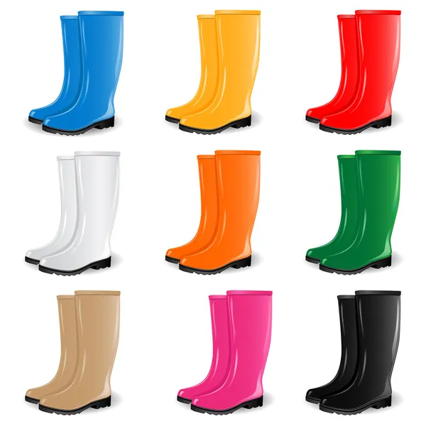 Colored rubber boots vector set — Stock Vector