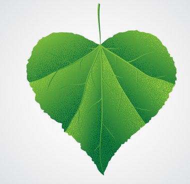 green leaf heart shape clipart