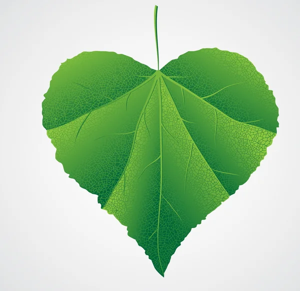 Zielony liść kształt serca — Wektor stockowy
