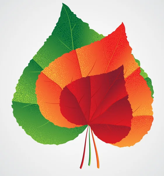 Серце форми листя — стоковий вектор