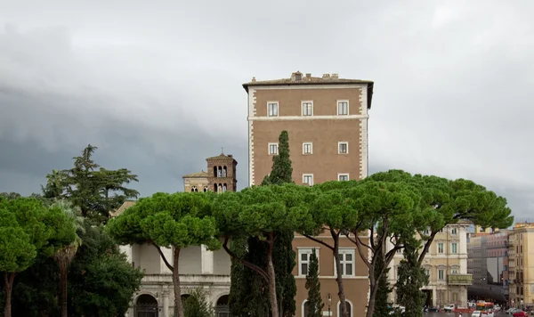Architektura Říma. Zelený strom — Stock fotografie