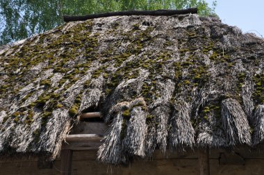 geleneksel Ukrayna rura