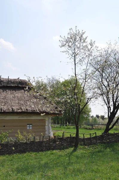 전통적인 우크라이나 rura — 스톡 사진