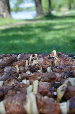 barbekü