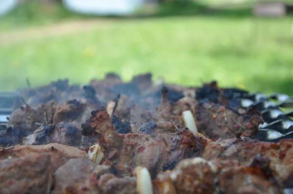 Barbecueën — Stockfoto