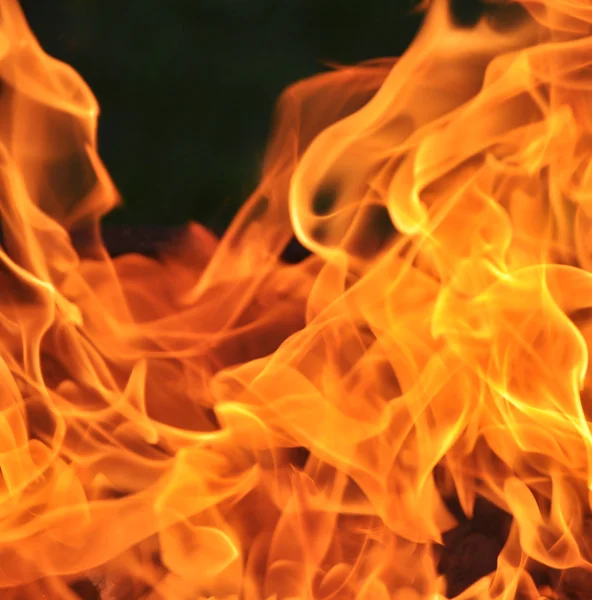 stock image Fire background