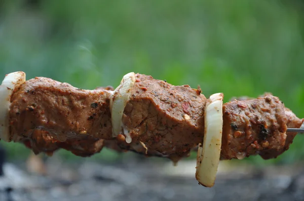バーベキュー肉 — ストック写真
