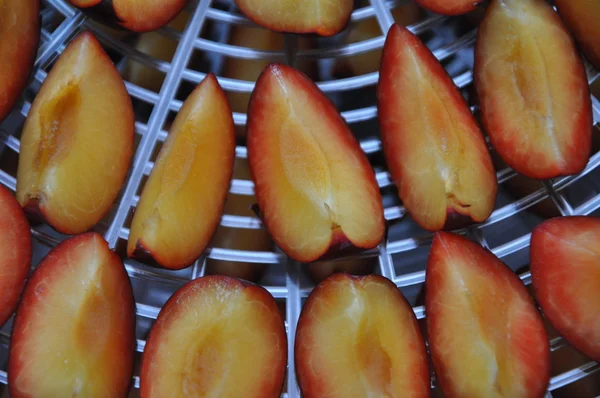 stock image Plum fruits