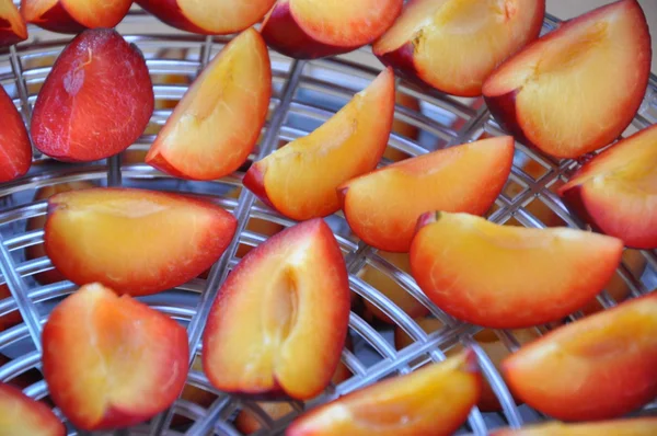 Frutas de ciruela — Foto de Stock