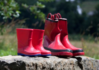 Gumboots