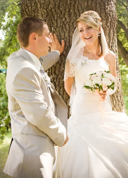 Newly married standing near the tree — Stock Photo, Image