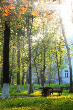 Güneş ışınları, tezgah ve park ev fotoğraf