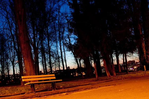 City park in the night — Stock Photo, Image
