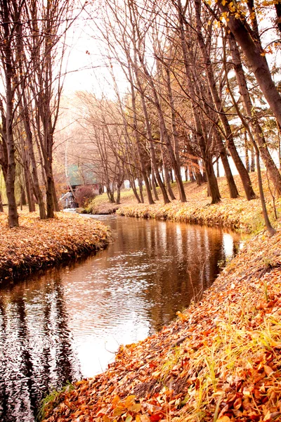River in the autumn park — Stock Photo, Image