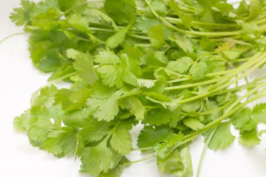 Fresh coriander leaves clipart