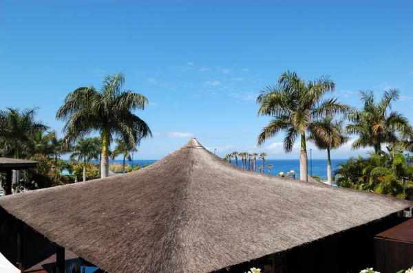 Крыша ресторана под открытым небом возле пляжа и бассейна — стоковое фото