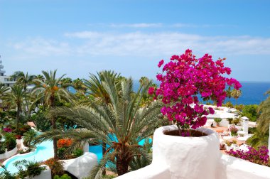 View on the beach of luxury hotel decorated with flowers, Teneri clipart