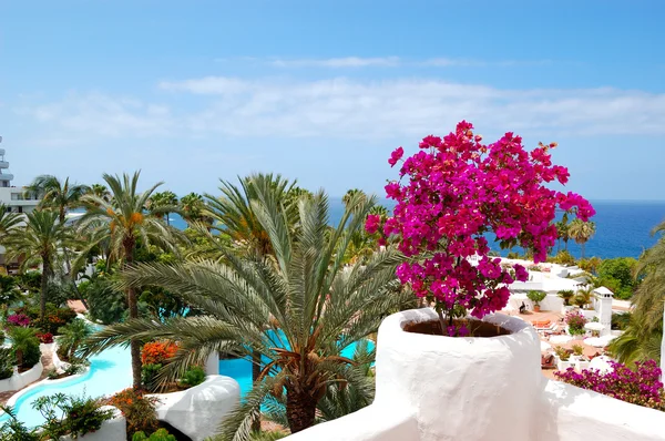 Prohlédni na pláži luxusní hotel s květy, teneri — Stock fotografie