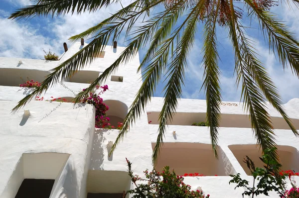 Listy palmy a budování luxusního hotelu, ostrov tenerife — Stock fotografie
