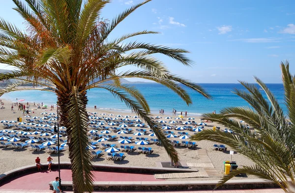 Туристи, насолоджуючись чиста вода на пляжі, Тенеріфе, Іспанія — стокове фото