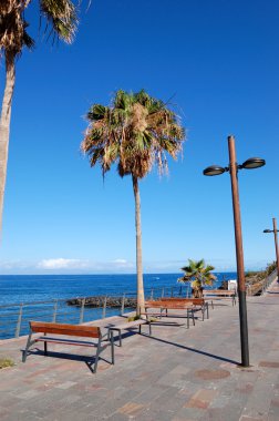 Seafront, playa de las americas, ada tenerife, İspanya