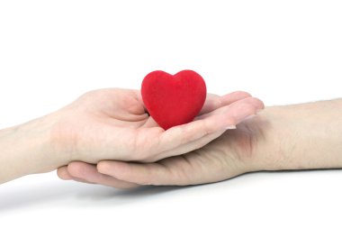 The Heart in hands. clipart