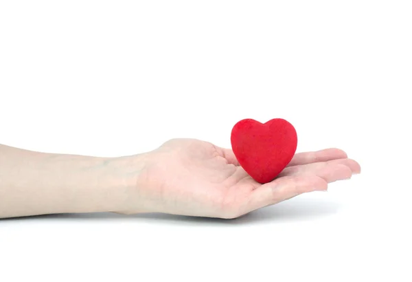 O coração na mão . — Fotografia de Stock