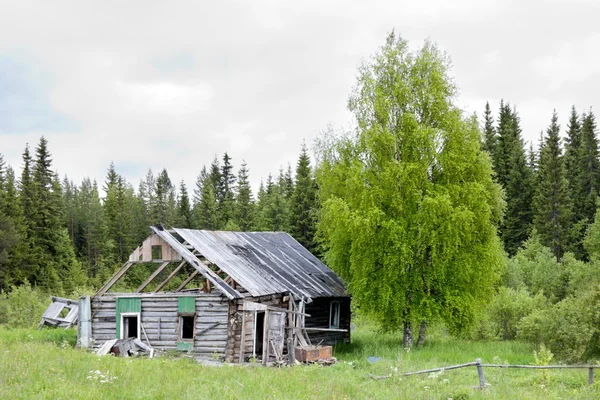 Das alte Haus in einem wilden Wald. — Stockfoto
