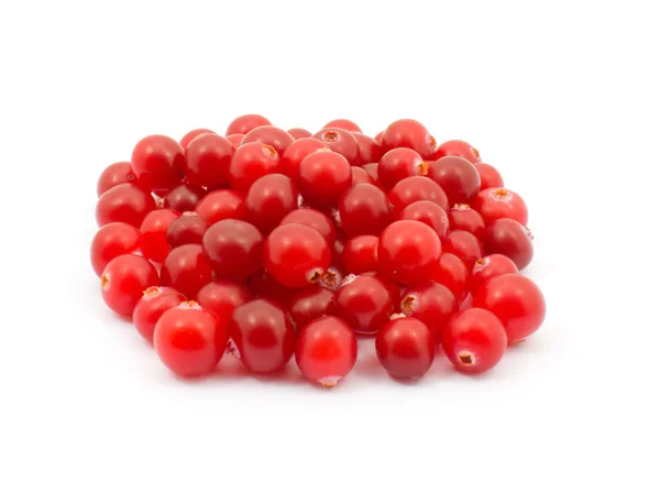 stock image Cranberries