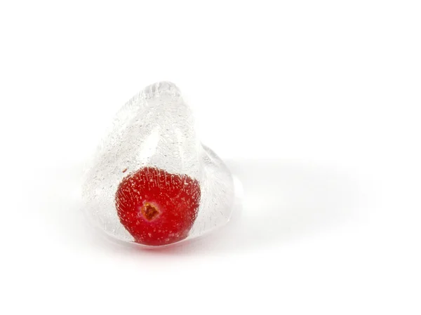 Cranberries no gelo — Fotografia de Stock