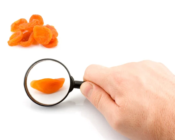 Apricot under a magnifying glass. — Stock Photo, Image