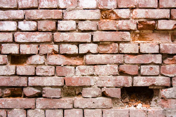 stock image Red brick wall.