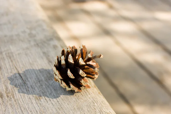 Um pinecone no tabuleiro . — Fotografia de Stock