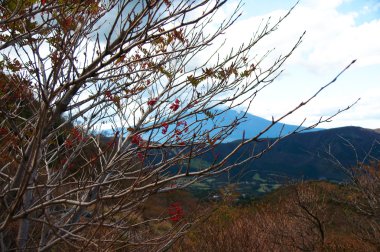 Hakone Kaplıcalar