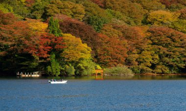 ortaklaşa Gölü gezisi gemi, japan