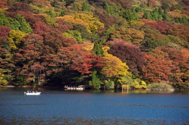 ortaklaşa Gölü gezisi gemi, japan