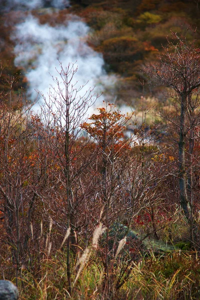 Termas de Hakone — Foto de Stock
