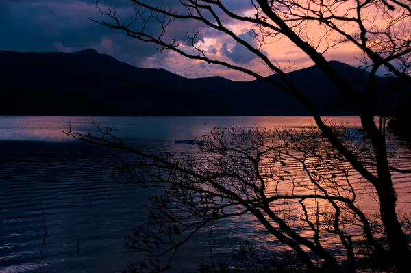 stock image Torii in a water and ashi lake, Japan